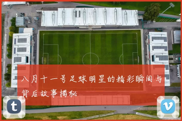 八月十一号足球明星的精彩瞬间与背后故事揭秘