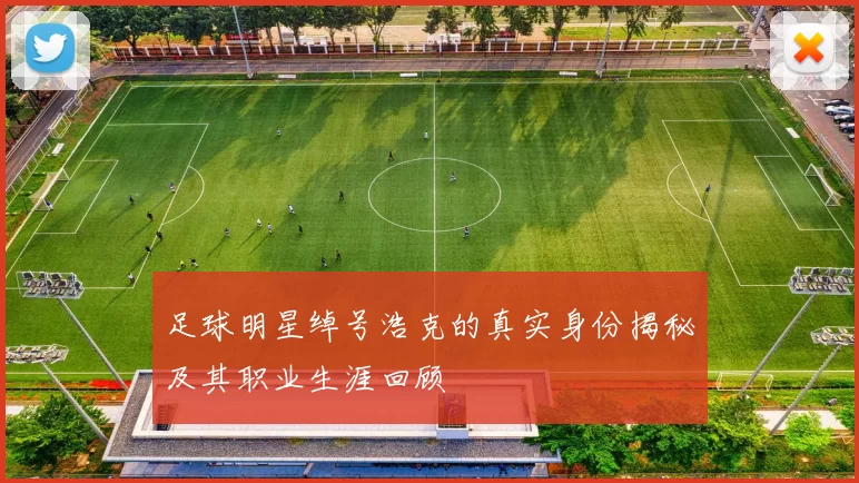 足球明星绰号浩克的真实身份揭秘及其职业生涯回顾