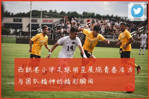 西航港小学足球明星展现青春活力与团队精神的精彩瞬间