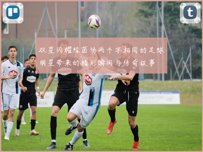 双星闪耀绿茵场两个字相同的足球明星带来的精彩瞬间与传奇故事