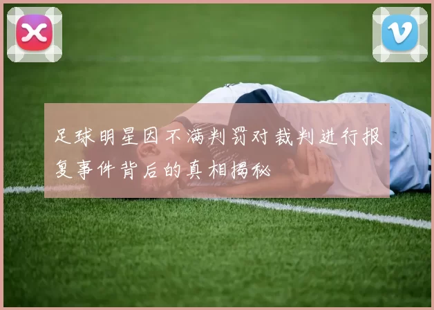 足球明星因不满判罚对裁判进行报复事件背后的真相揭秘