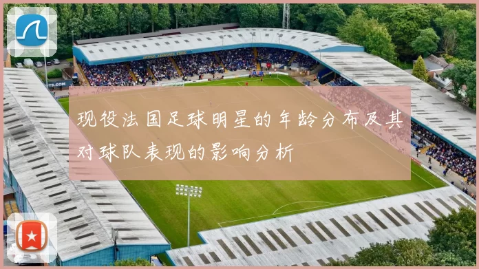 现役法国足球明星的年龄分布及其对球队表现的影响分析