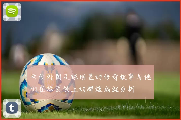 两位外国足球明星的传奇故事与他们在绿茵场上的辉煌成就分析