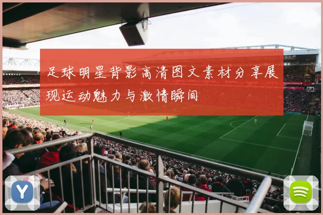 足球明星背影高清图文素材分享展现运动魅力与激情瞬间