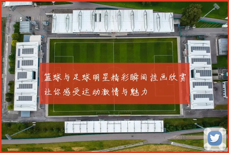 篮球与足球明星精彩瞬间挂画欣赏让你感受运动激情与魅力