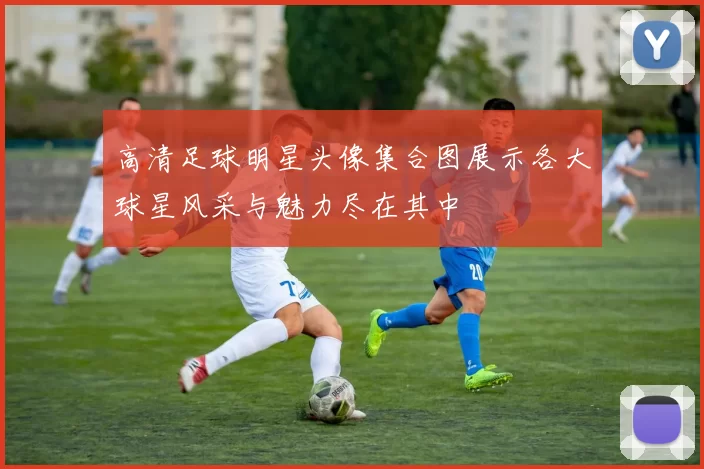 高清足球明星头像集合图展示各大球星风采与魅力尽在其中