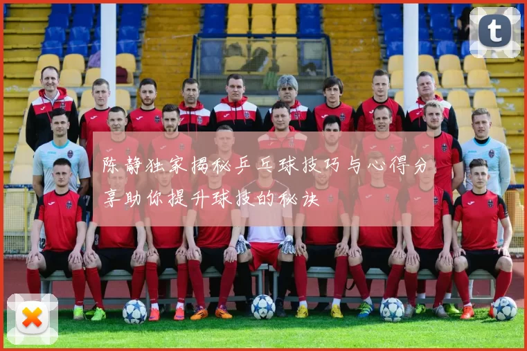 陈静独家揭秘乒乓球技巧与心得分享助你提升球技的秘诀