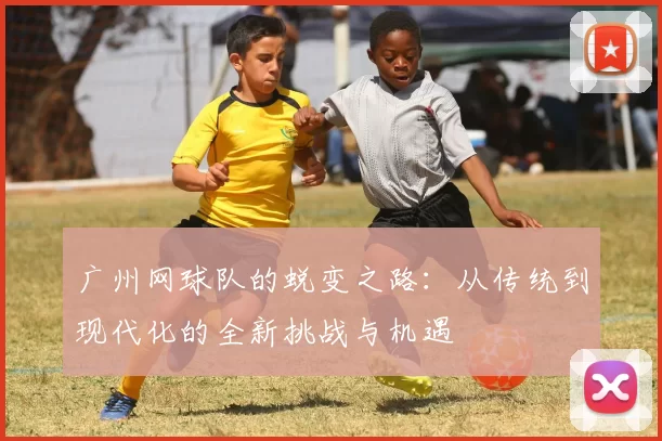 广州网球队的蜕变之路：从传统到现代化的全新挑战与机遇