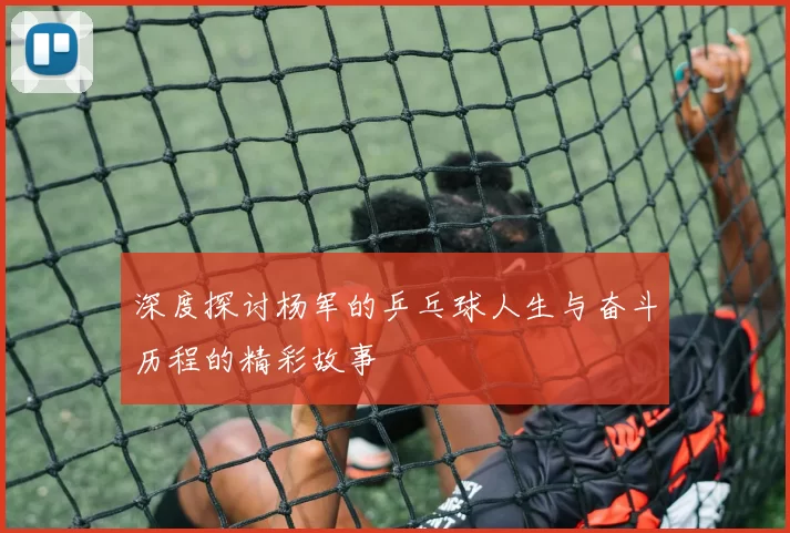 深度探讨杨军的乒乓球人生与奋斗历程的精彩故事