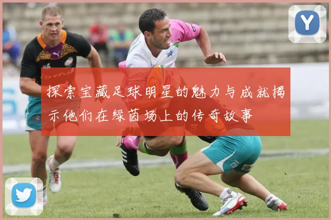 探索宝藏足球明星的魅力与成就揭示他们在绿茵场上的传奇故事