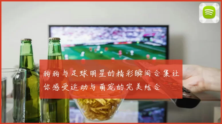 狗狗与足球明星的精彩瞬间合集让你感受运动与萌宠的完美结合