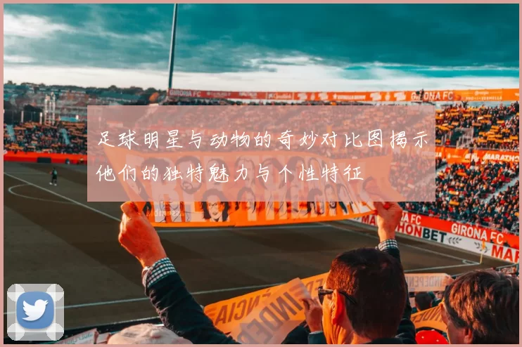 足球明星与动物的奇妙对比图揭示他们的独特魅力与个性特征