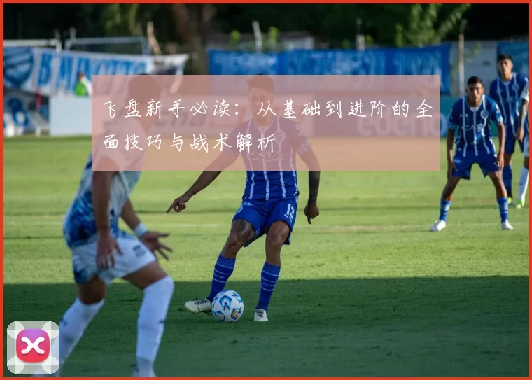 飞盘新手必读：从基础到进阶的全面技巧与战术解析