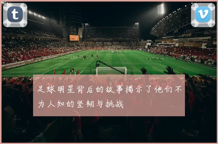 足球明星背后的故事揭示了他们不为人知的坚韧与挑战
